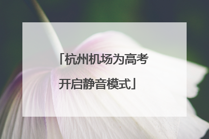杭州机场为高考开启静音模式