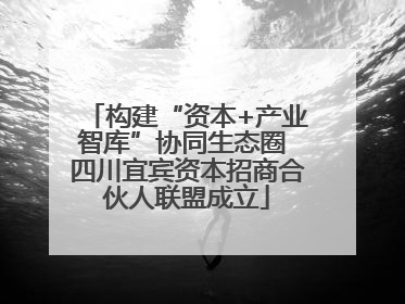 构建“资本+产业智库”协同生态圈 四川宜宾资本招商合伙人联盟成立