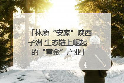 林麝“安家”陕西子洲 生态链上崛起的“黄金”产业