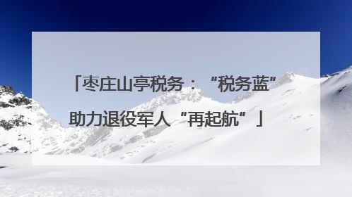 枣庄山亭税务：“税务蓝”助力退役军人“再起航”