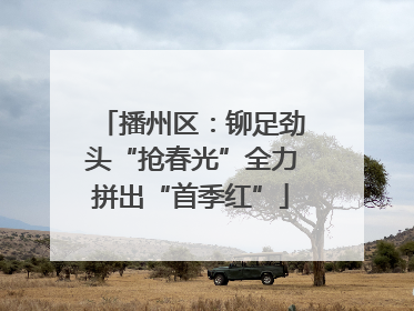 播州区：铆足劲头“抢春光”全力拼出“首季红”