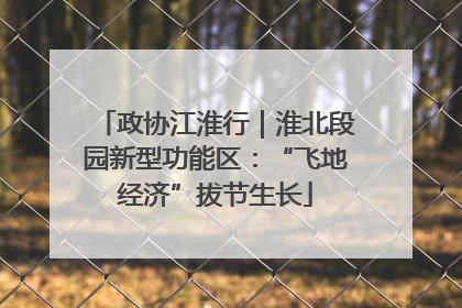 政协江淮行｜淮北段园新型功能区：“飞地经济”拔节生长