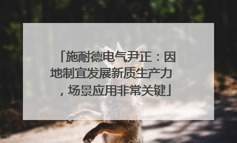 施耐德电气尹正：因地制宜发展新质生产力，场景应用非常关键