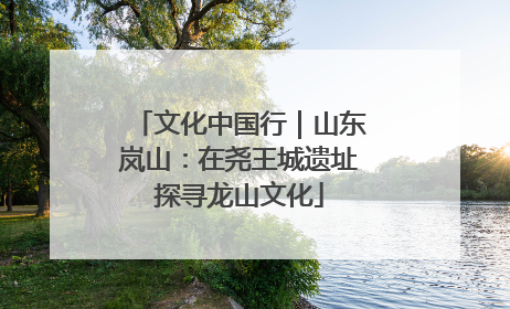 文化中国行｜山东岚山：在尧王城遗址探寻龙山文化