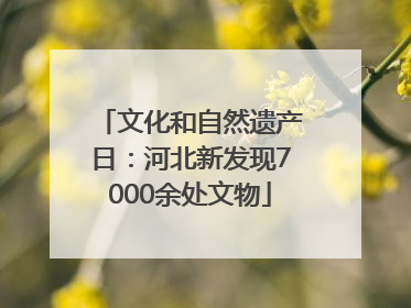 文化和自然遗产日：河北新发现7000余处文物