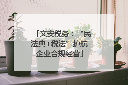 文安税务：“民法典+税法”护航企业合规经营