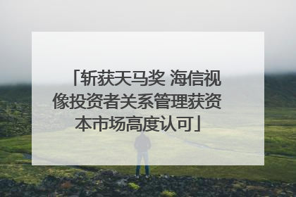 斩获天马奖 海信视像投资者关系管理获资本市场高度认可