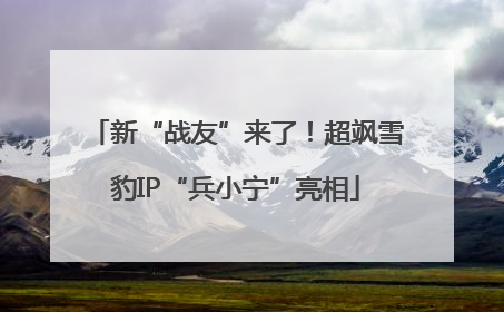 新“战友”来了！超飒雪豹IP“兵小宁”亮相
