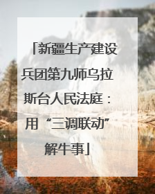 新疆生产建设兵团第九师乌拉斯台人民法庭：用“三调联动”解牛事