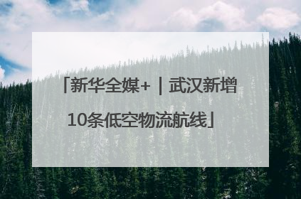 新华全媒+｜武汉新增10条低空物流航线