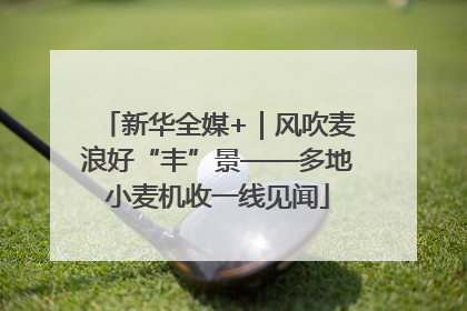 新华全媒+｜风吹麦浪好“丰”景——多地小麦机收一线见闻