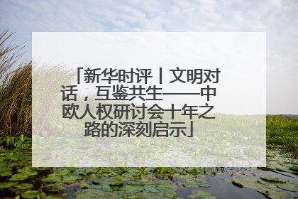 新华时评丨文明对话，互鉴共生——中欧人权研讨会十年之路的深刻启示