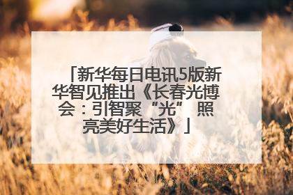 新华每日电讯5版新华智见推出《长春光博会：引智聚“光” 照亮美好生活》