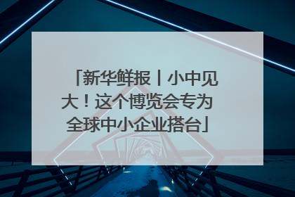 新华鲜报丨小中见大！这个博览会专为全球中小企业搭台