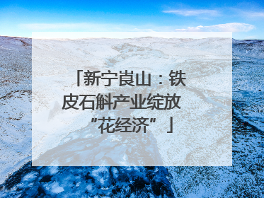 新宁崀山：铁皮石斛产业绽放“花经济”