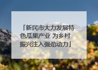 新民市大力发展特色瓜果产业 为乡村振兴注入强劲动力