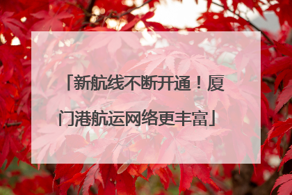 新航线不断开通！厦门港航运网络更丰富