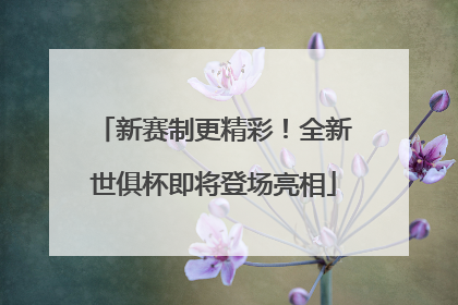 新赛制更精彩！全新世俱杯即将登场亮相