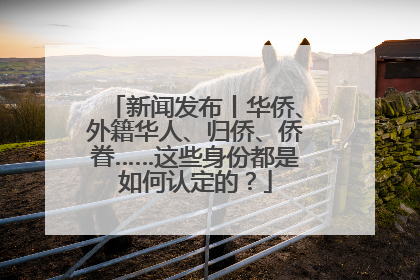 新闻发布丨华侨、外籍华人、归侨、侨眷……这些身份都是如何认定的？