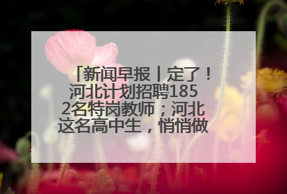 新闻早报丨定了！河北计划招聘1852名特岗教师；河北这名高中生，悄悄做了件超酷的事>>