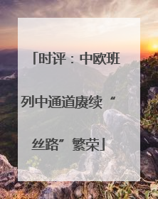 时评：中欧班列中通道赓续“丝路”繁荣