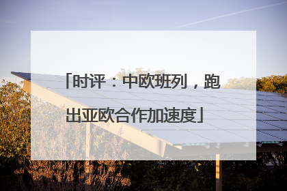 时评：中欧班列，跑出亚欧合作加速度