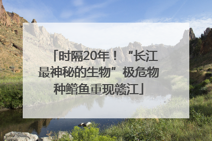 时隔20年！“长江最神秘的生物”极危物种鳤鱼重现赣江