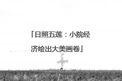 日照五莲：小院经济绘出大美画卷