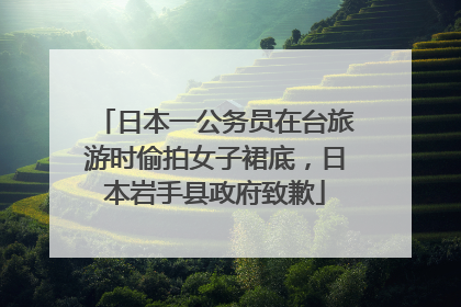 日本一公务员在台旅游时偷拍女子裙底，日本岩手县政府致歉