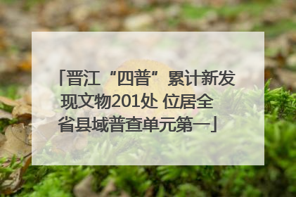 晋江“四普”累计新发现文物201处 位居全省县域普查单元第一