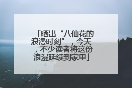 晒出“八仙花的浪漫时刻”，今天，不少读者将这份浪漫延续到家里
