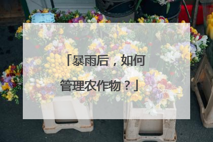 暴雨后，如何管理农作物？