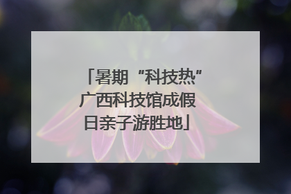 暑期“科技热” 广西科技馆成假日亲子游胜地