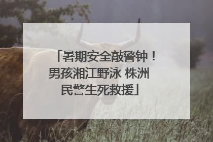 暑期安全敲警钟！男孩湘江野泳 株洲民警生死救援
