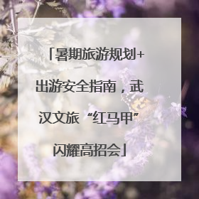 暑期旅游规划+出游安全指南，武汉文旅“红马甲”闪耀高招会