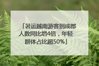 暑运越南游客到成都人数同比增4倍，年轻群体占比超50%