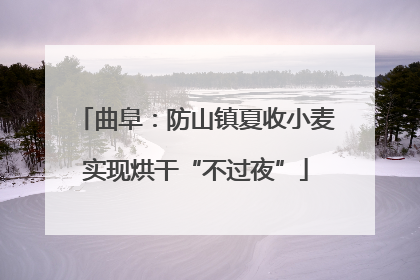 曲阜：防山镇夏收小麦实现烘干“不过夜”