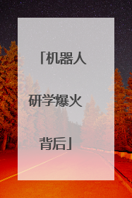 机器人研学爆火背后