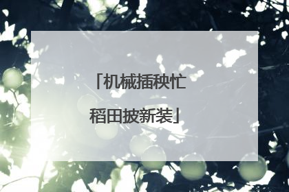 机械插秧忙 稻田披新装