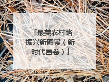最美农村路 振兴新图景（新时代画卷）