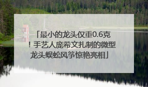 最小的龙头仅重0.6克！手艺人庞希文扎制的微型龙头蜈蚣风筝惊艳亮相