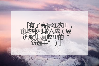 有了高标准农田，亩均纯利增六成（经济聚焦·夏收里的“新选手”）