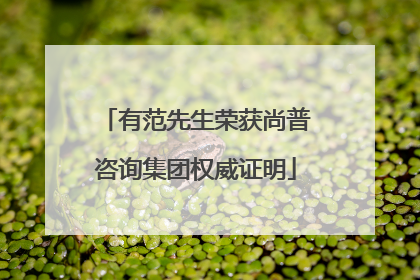 有范先生荣获尚普咨询集团权威证明