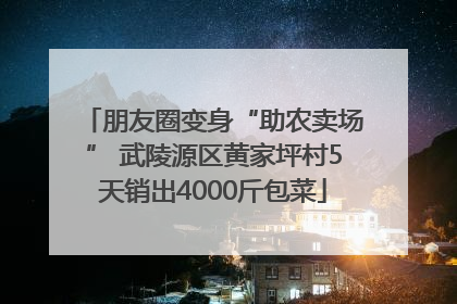 朋友圈变身“助农卖场” 武陵源区黄家坪村5天销出4000斤包菜