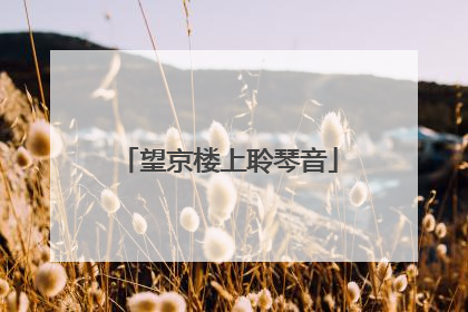 望京楼上聆琴音