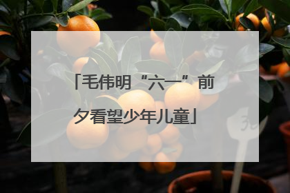 毛伟明“六一”前夕看望少年儿童