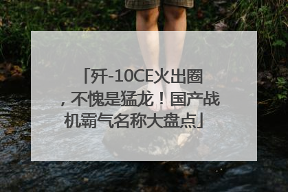 歼-10CE火出圈，不愧是猛龙！国产战机霸气名称大盘点