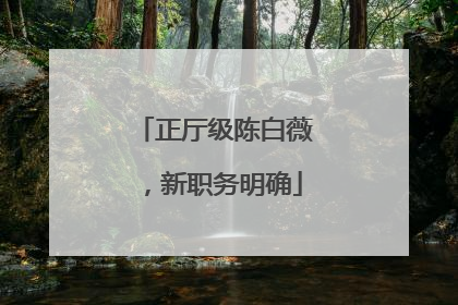 正厅级陈白薇，新职务明确