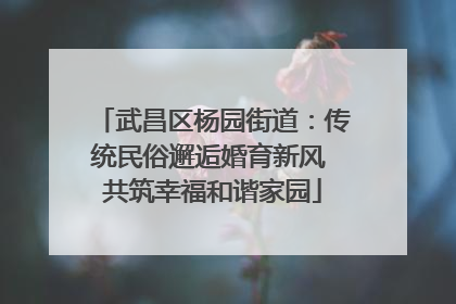 武昌区杨园街道：传统民俗邂逅婚育新风 共筑幸福和谐家园