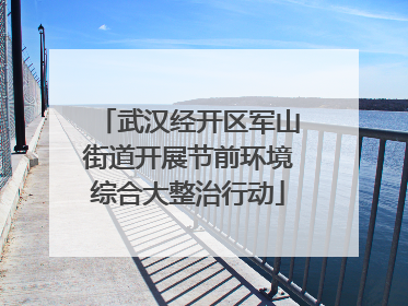 武汉经开区军山街道开展节前环境综合大整治行动